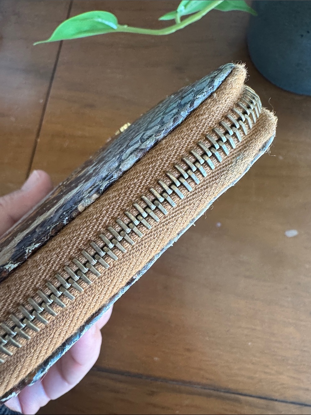 Dooney & Bourke Blue, Brown & Cream Snake-Print Zip Wallet - Picture 6 of 9